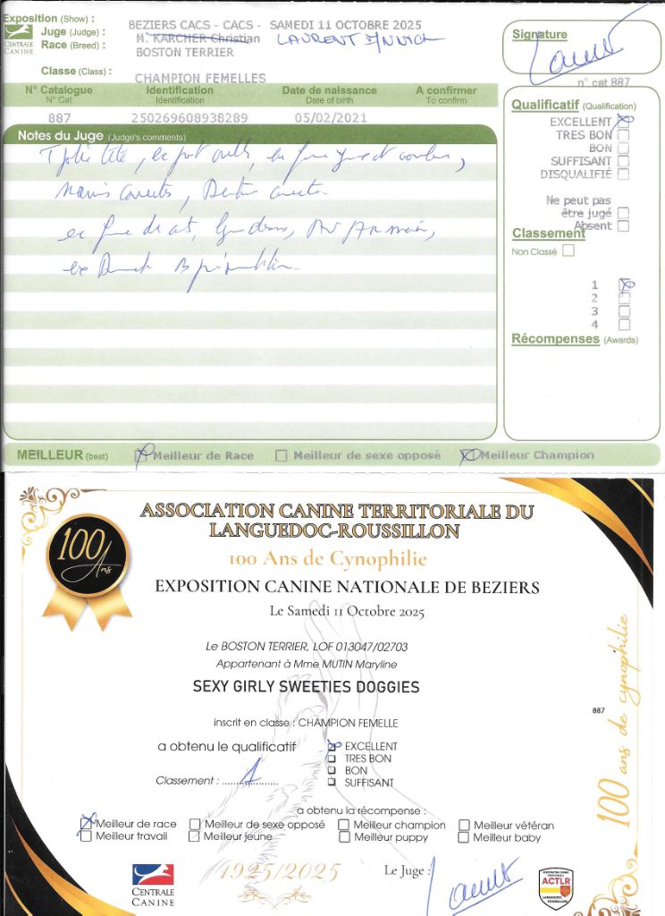 CH. Sexy girly Sweeties Doggies - 1°EXC BOB classe Champion SPECIALE de RACE