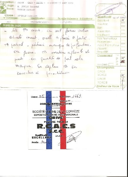 CH. Hella Sweeties Doggies - 2° EXCELLENTE RCACS classe chanpion