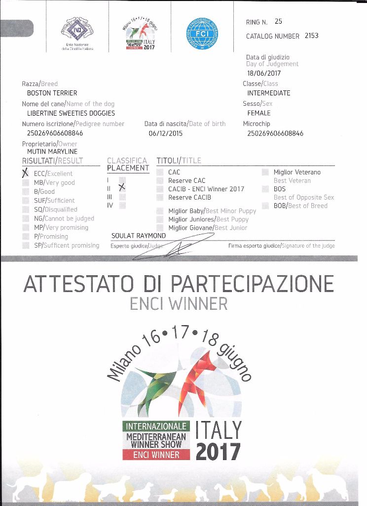 CH. Libertine Sweeties Doggies - 2° EXC classe intermédiaire