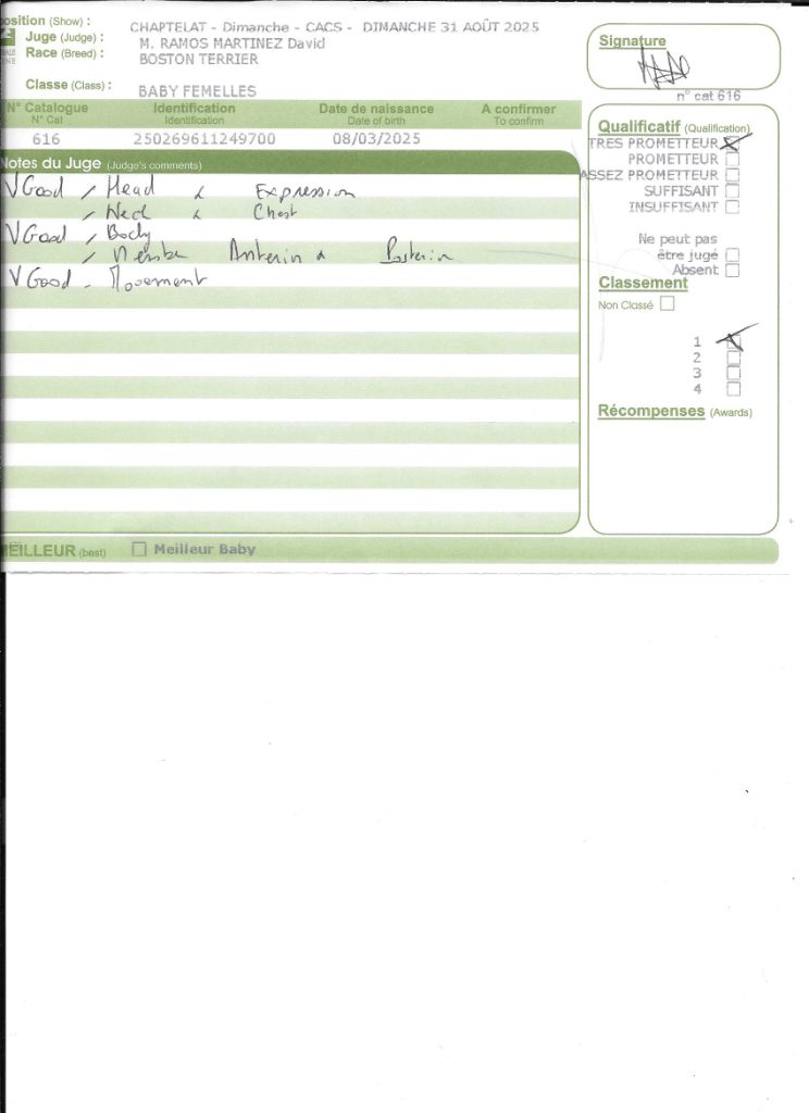 Agate Sweeties Doggies - TRES PROMETEUR