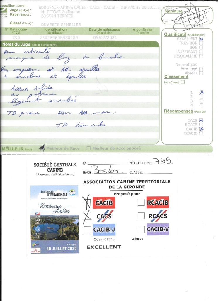 CH. Sexy girly Sweeties Doggies - 1° EXC CACS CACIB classe ouverte