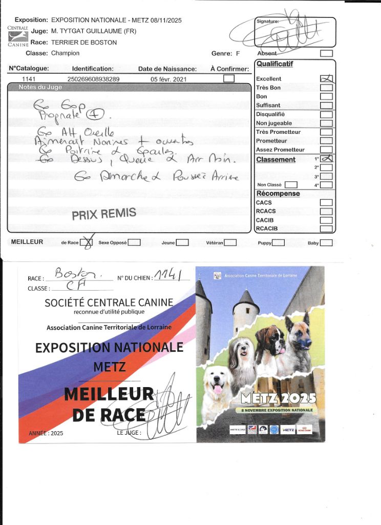 CH. Sexy girly Sweeties Doggies - 1° exc classe champion MEILLEUR de RACE