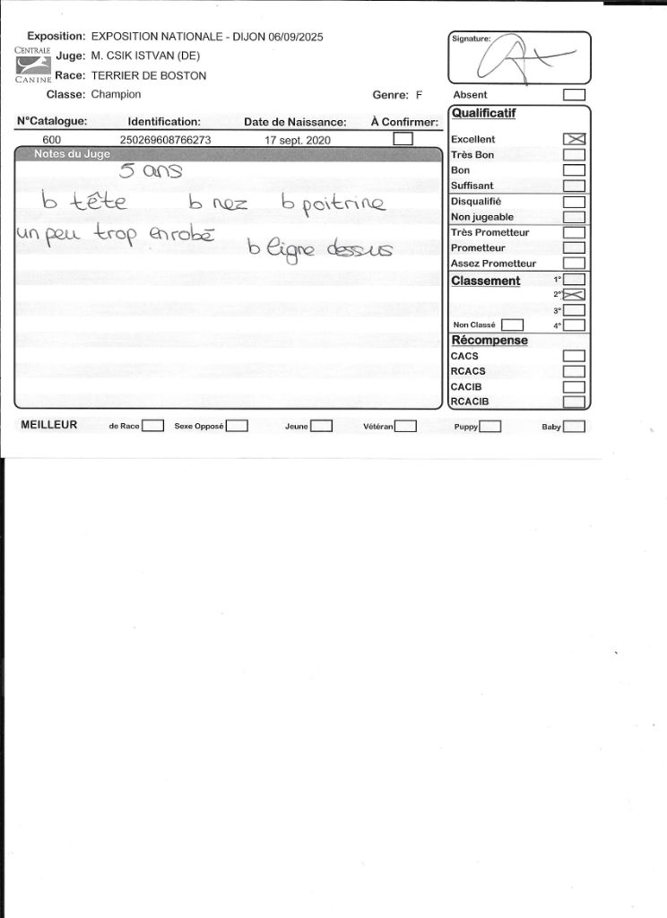 CH. Renaissance Sweeties Doggies - 2° EXC classe Champion