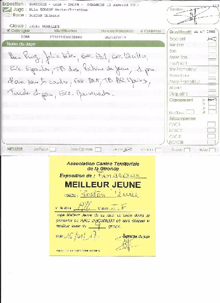 CH. Libertine Sweeties Doggies - MEILLEUR JEUNE et 3° jeune du groupe 9