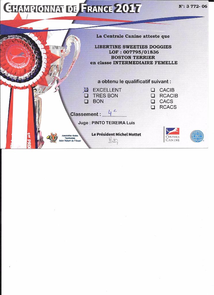 CH. Libertine Sweeties Doggies - 4° EXCELLENT classe intermédiaire