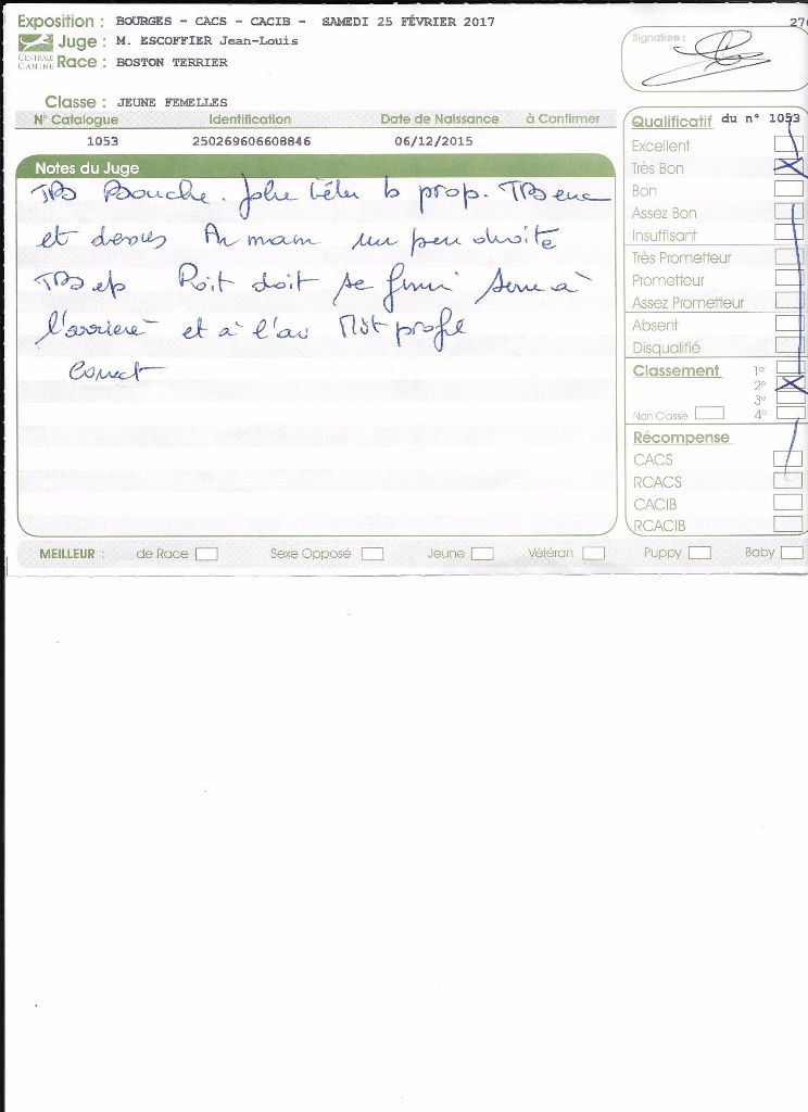 CH. Libertine Sweeties Doggies - 2° très bon jeune