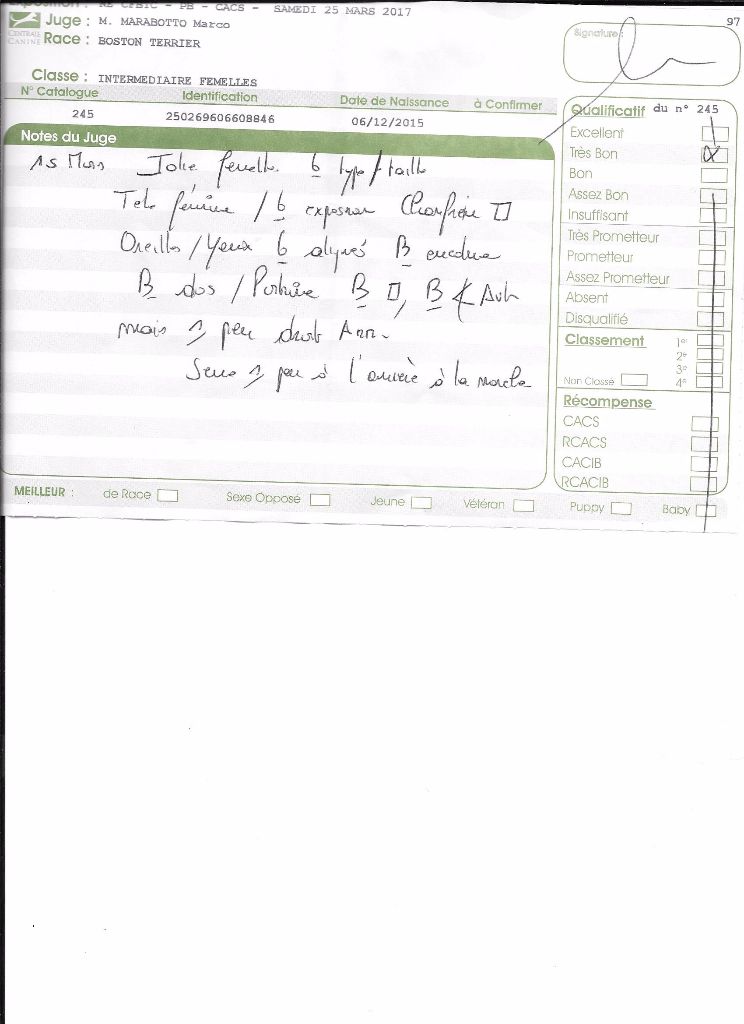 CH. Libertine Sweeties Doggies - très Bon classe intermédiaire