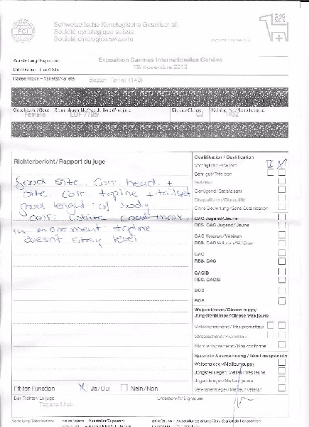 CH. Libertine Sweeties Doggies - 3° EXCELLENT classe jeune