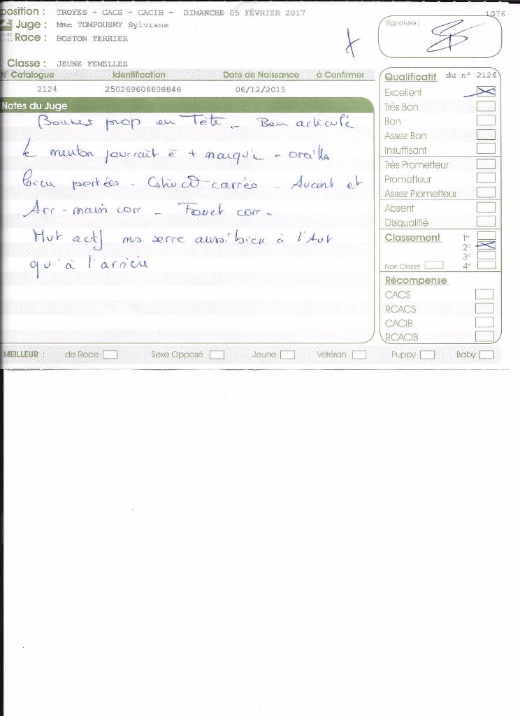 CH. Libertine Sweeties Doggies - 2° EXCELLENT classe jeune