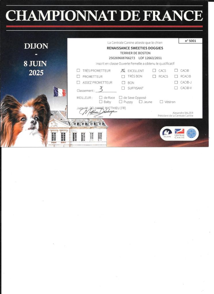CH. Renaissance Sweeties Doggies - 3° EXCELLENT classe ouverte