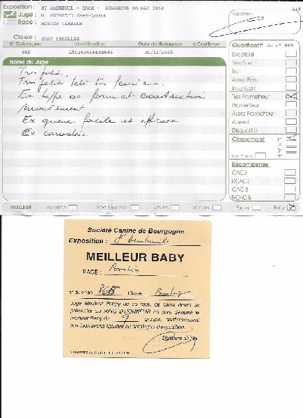 CH. Libertine Sweeties Doggies - MEILLEUR BABY