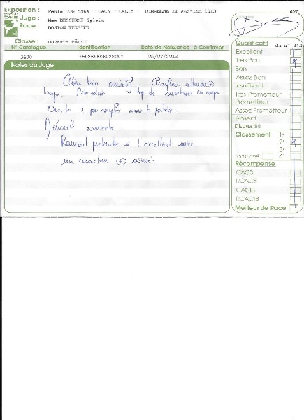 Isseo Sweeties Doggies - 2° très bon classe ouverte