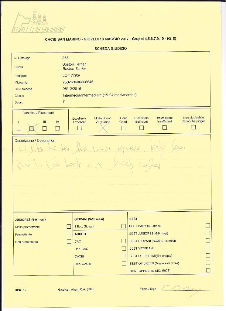 CH. Libertine Sweeties Doggies - 2° TRÈS BON