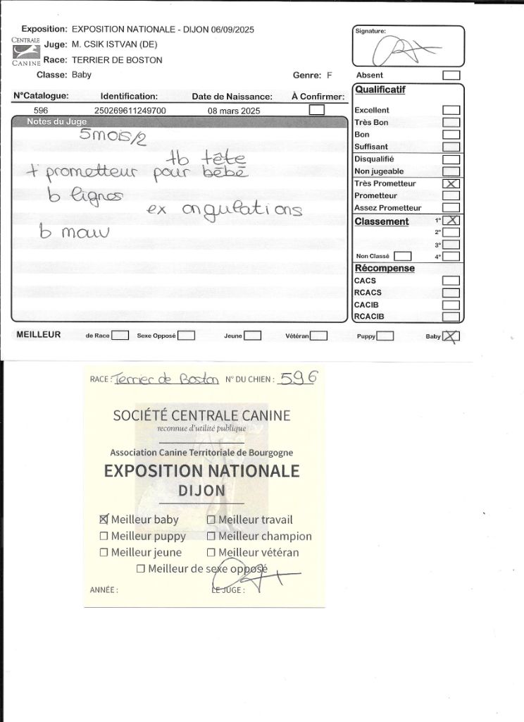 Agate Sweeties Doggies - MEILLEUR BABY