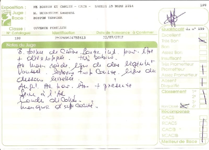 CH. Hella Sweeties Doggies - TRES BON NON CLASSEE