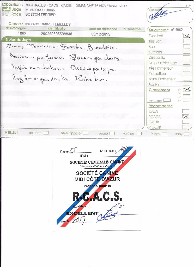 CH. Libertine Sweeties Doggies - 1° EXC RCACS classe intermédiaire