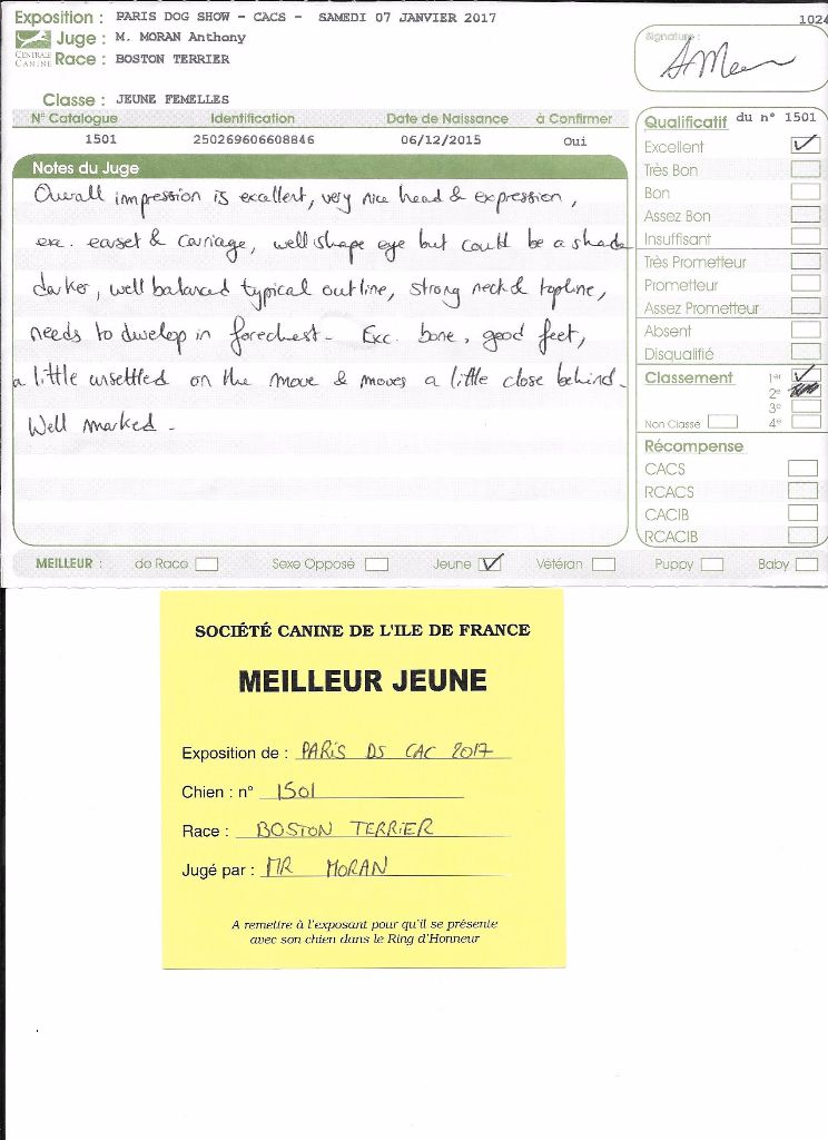 CH. Libertine Sweeties Doggies - MEILLEUR JEUNE