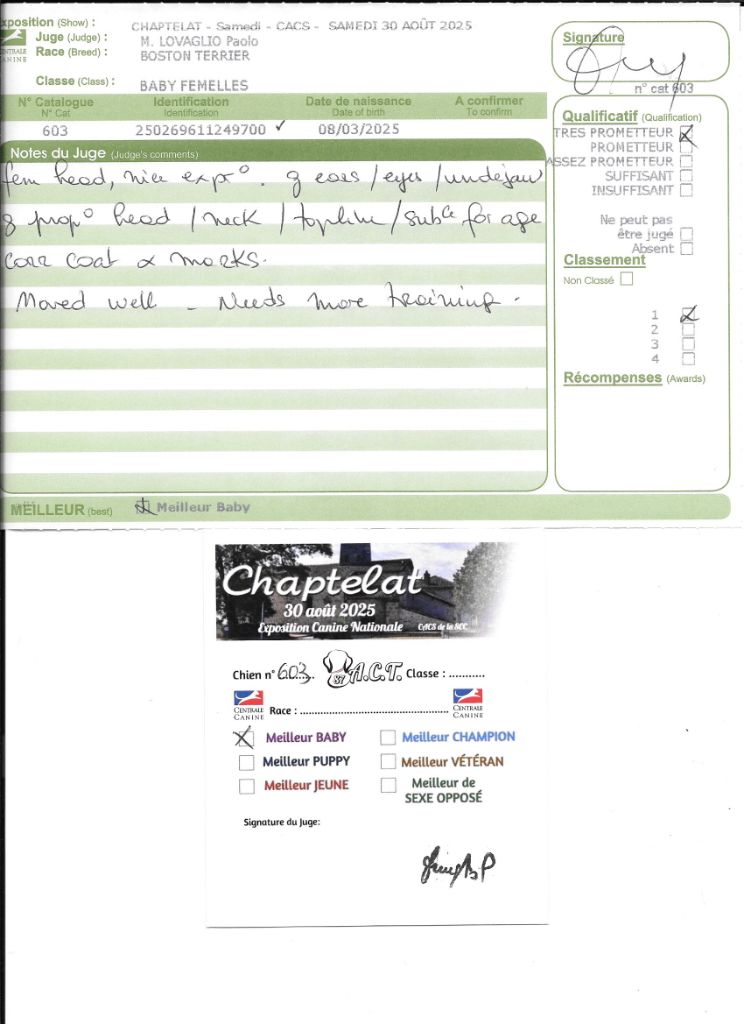 Agate Sweeties Doggies - MEILLEUR BABY