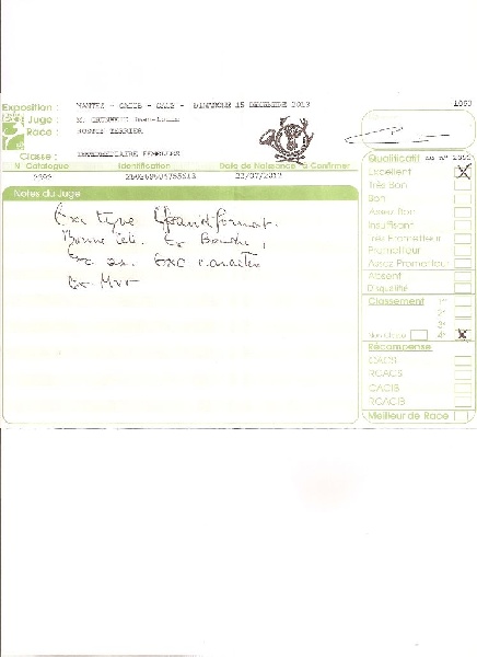 CH. Hella Sweeties Doggies - 4° EXCELLENTE classe intermediaire