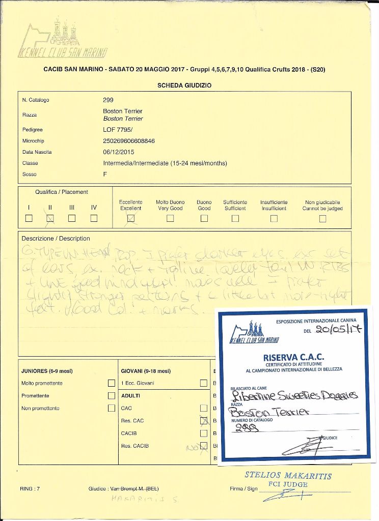CH. Libertine Sweeties Doggies - 2° EXC RCAC classe intermédiaire