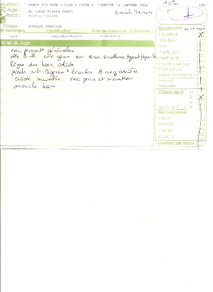 CH. Hella Sweeties Doggies - 2°EXCELLENTE classe ouverte SPECIALE BOSTON TERRIER