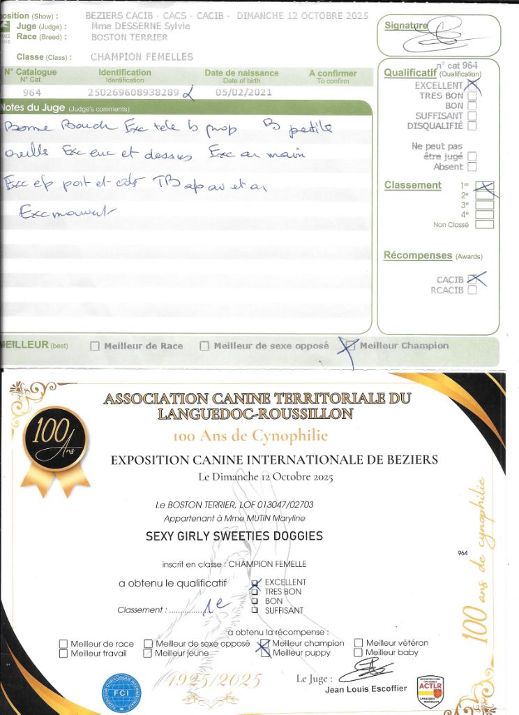 CH. Sexy girly Sweeties Doggies - 1° EXC CACIB Meilleur Champion