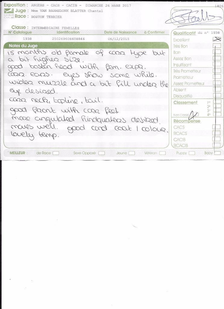 CH. Libertine Sweeties Doggies - EXCELLENT classe intermédiaire