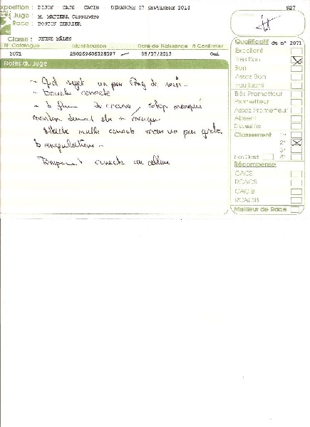 Isseo Sweeties Doggies - 2° très bon