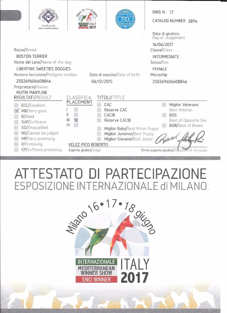 CH. Libertine Sweeties Doggies - 3° TRÈS BON classe intermédiaire