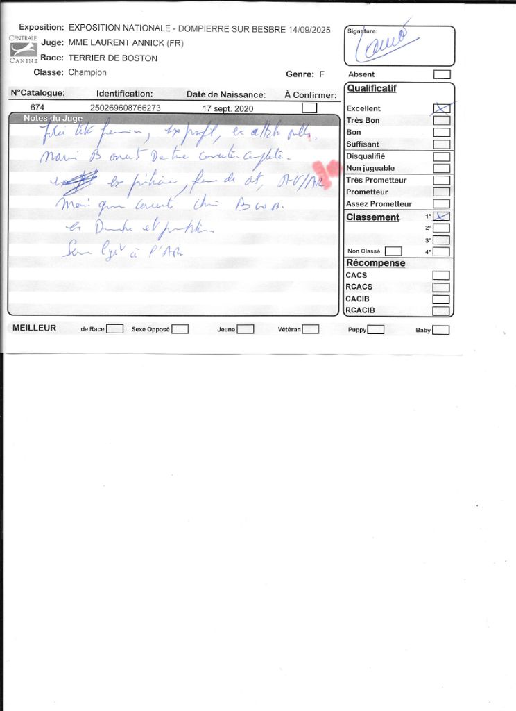 CH. Renaissance Sweeties Doggies - 1° exc classe Champion