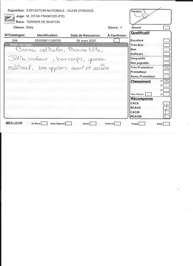 Agate Sweeties Doggies - 1° très prometteur