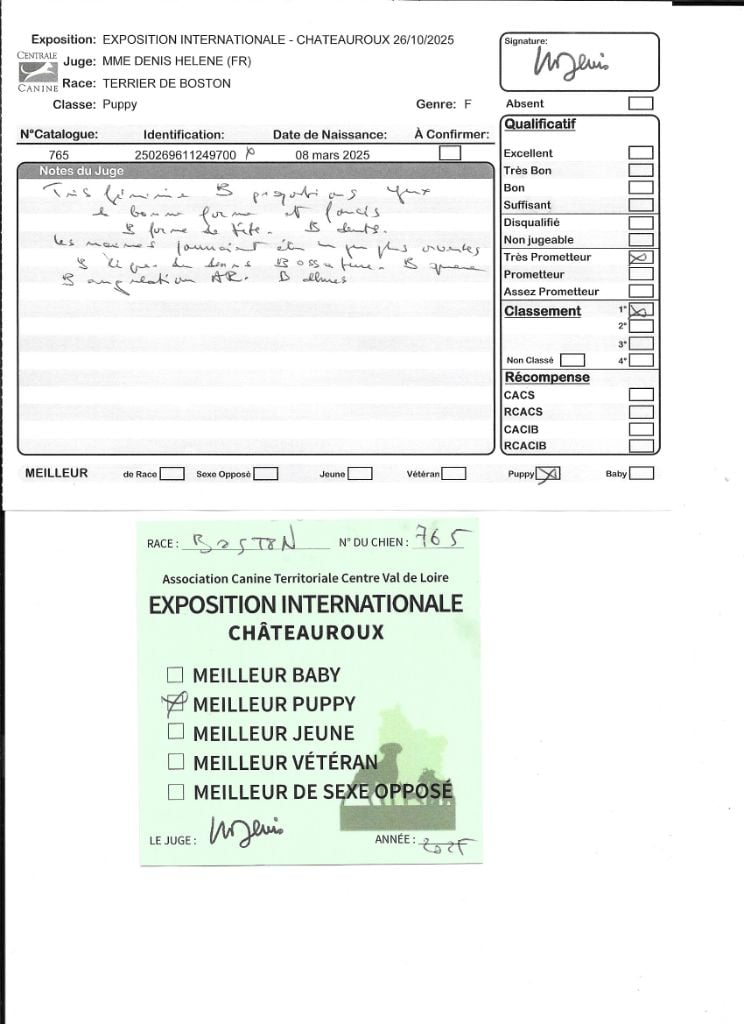 Agate Sweeties Doggies - MEILLEUR PUPPY