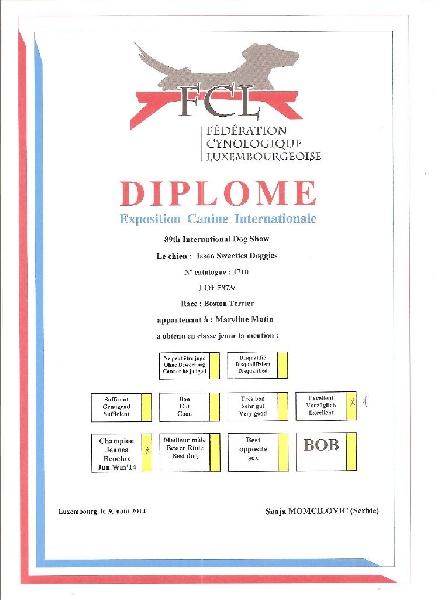 Isseo Sweeties Doggies - 1°EXCELLENT JEUNE CHAMPION du LUXEMBOURG