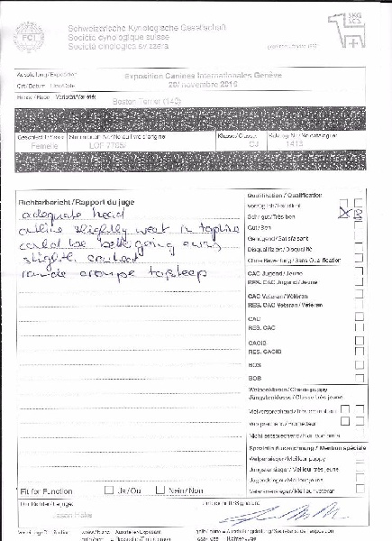 CH. Libertine Sweeties Doggies - 3° Tres bon classe jeune