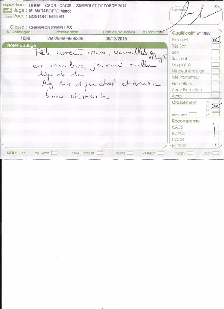 CH. Libertine Sweeties Doggies - 2° EXCELLENT classe champion