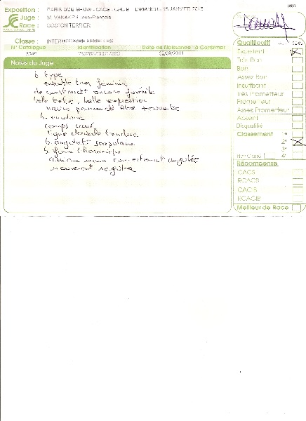 Gourmandise de cat' pat - 2° EXCELLENT classe intermediere speciale boston terrier