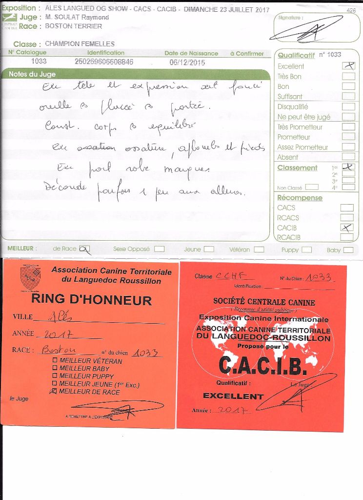 CH. Libertine Sweeties Doggies - CACIB MEILLEUR DE RACE