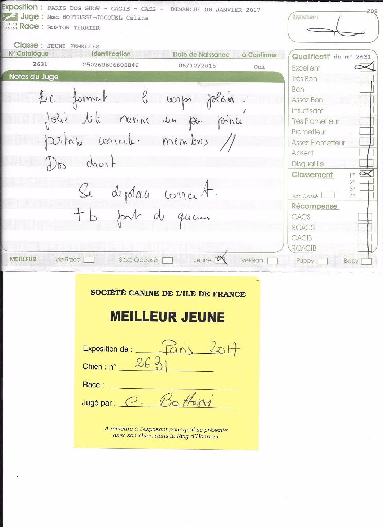 CH. Libertine Sweeties Doggies - MEILLEUR JEUNE