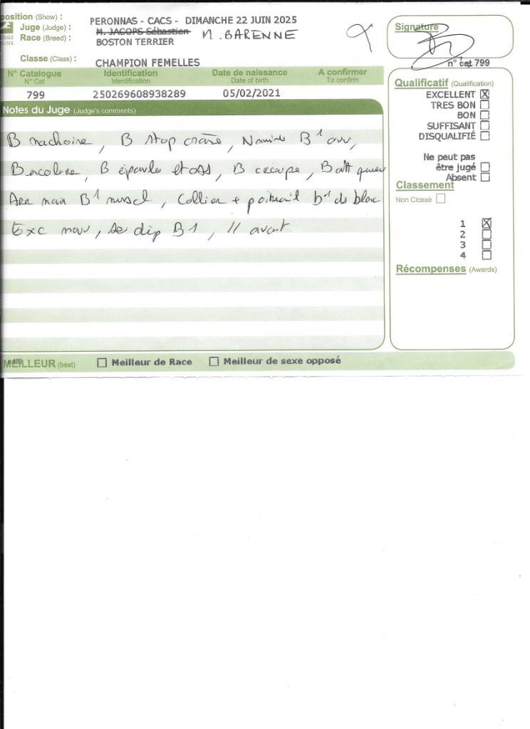 CH. Sexy girly Sweeties Doggies - 1° EXC classe Champion