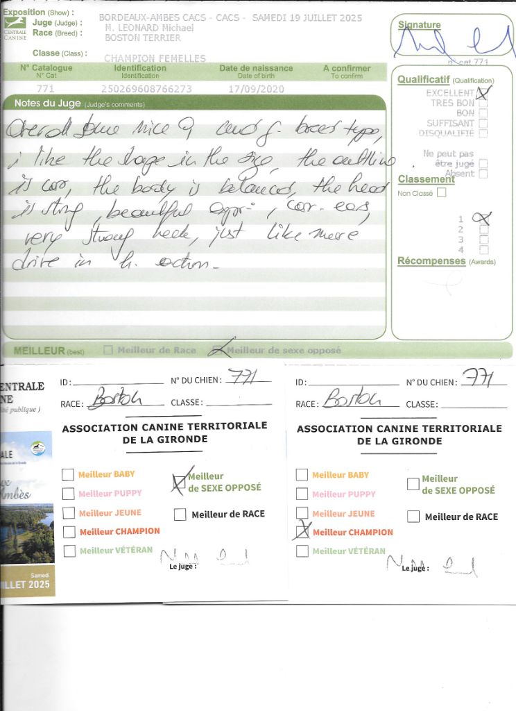 CH. Renaissance Sweeties Doggies - 1° EXC classe Champion BOS Meilleur Champion