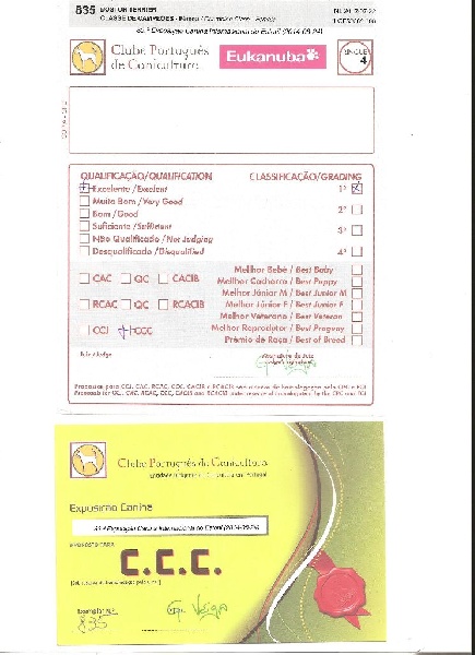 CH. Hella Sweeties Doggies - 1° EXCELLENTE classe Champion