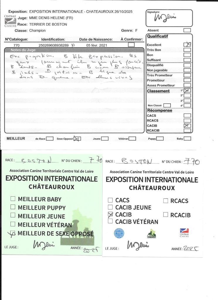 CH. Sexy girly Sweeties Doggies - 1° EXC CACIB BOS