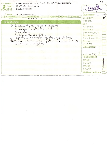 Frenesie de Cat'Pat - EXCELLENT classe ouverte speciale boston terrier