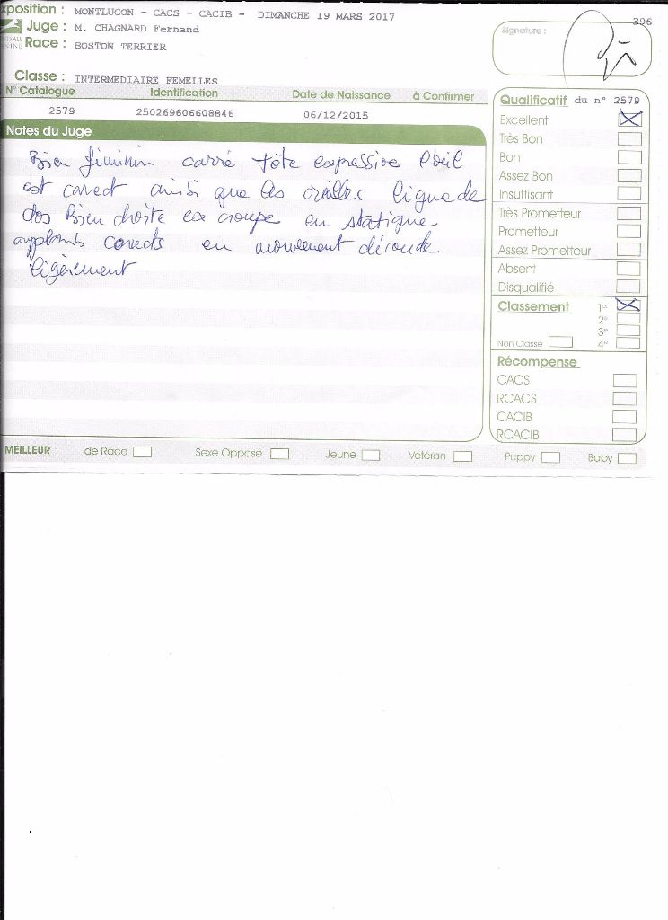 CH. Libertine Sweeties Doggies - 1° EXCELLENT classe intermédiaire