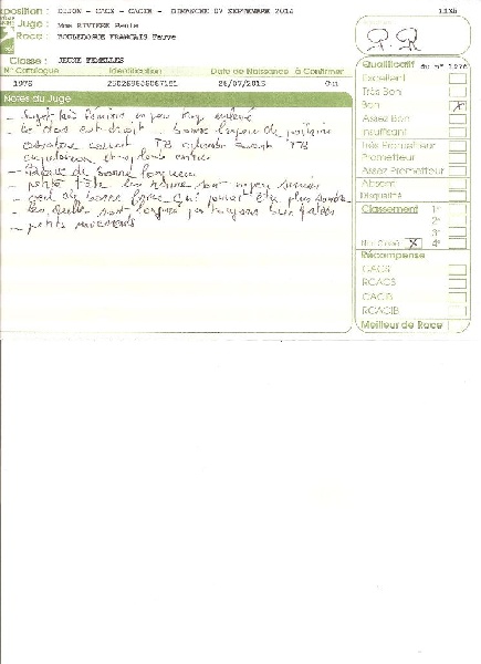 I love you Sweeties Doggies - BON non classé