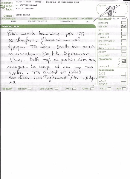 Loulou cacharel de Cat'Pat - 2° très bon classe jeune