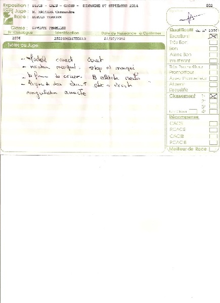 CH. Hella Sweeties Doggies - 1° EXCELLENTE classe ouverte