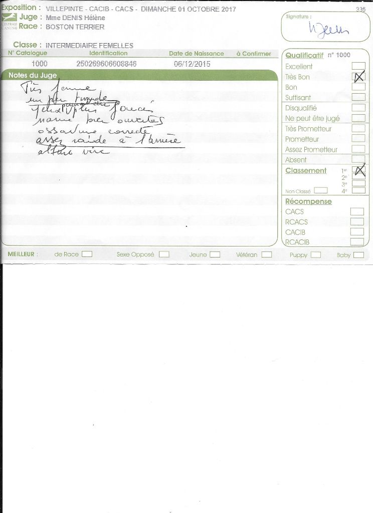 CH. Libertine Sweeties Doggies - 1° très bon classe intermédiaire