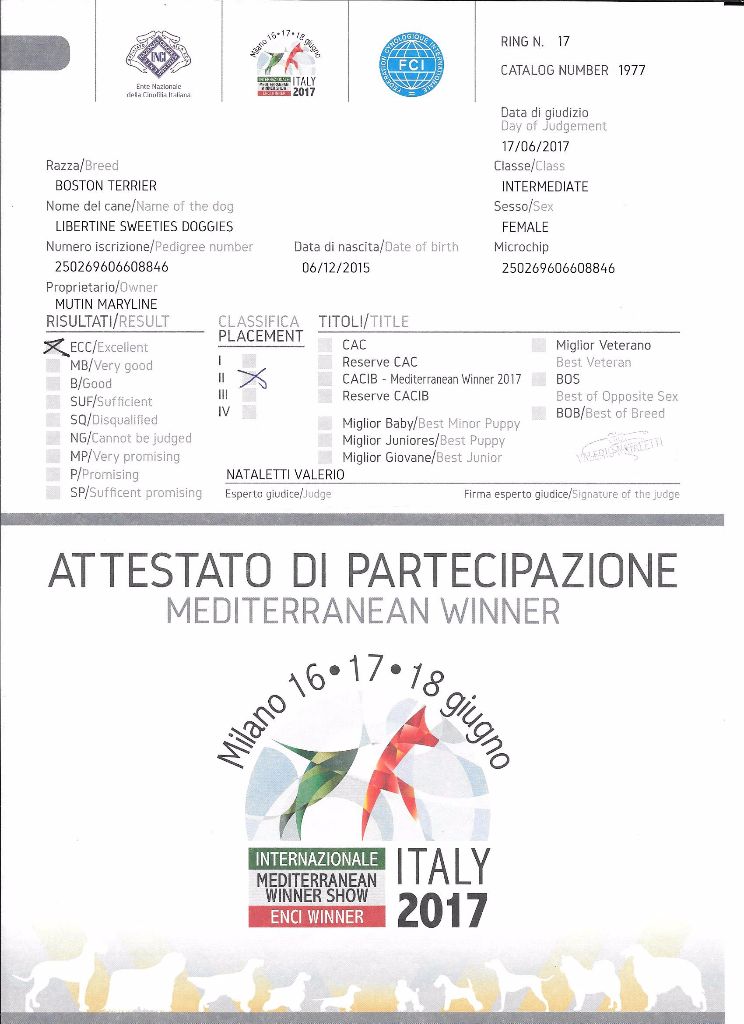 CH. Libertine Sweeties Doggies - 2° EXCELLENT classe intermédiaire