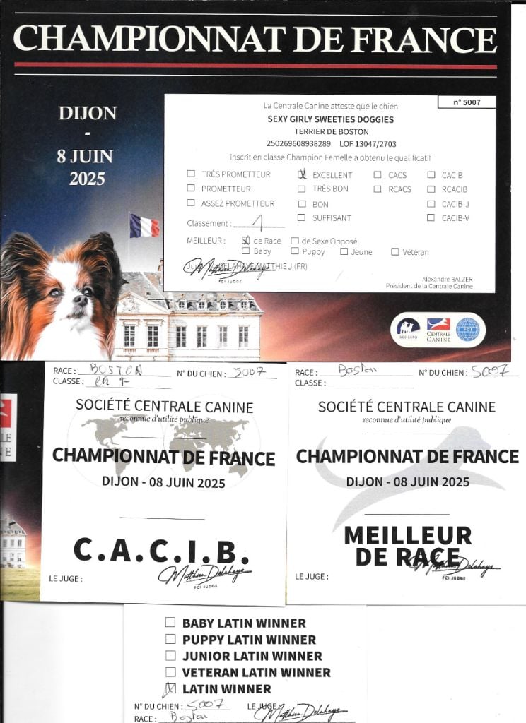 CH. Sexy girly Sweeties Doggies - CACIB BOB classe Champion